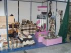 ExpoSerra